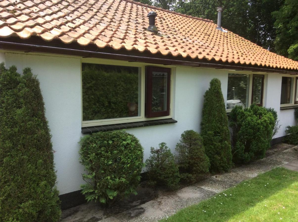 Vakantiehuisje Vlakbij De Duinen Oostvoorne Eksteriør billede